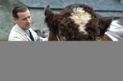 Nicholas Ralph als James Herriot