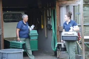Keepers transporting cottontail rabbits