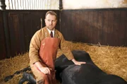 Siefried Farnon (Samuel_West) hat sich als Tierarzt auf der Rennbahn von Darrowby beworben.