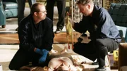Als sie die Leiche der Schauspieldiva Annabelle Fundt (Katy Segal) untersuchen, bekommen Grissom (William Petersen, re.) und David Phillips (David Berman) einen Einblick in den seltsamen Humor einer Sitcomproduktion...
