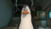 Kowalski