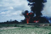 Explosionen am Waldrand, Vietnam, 1965.