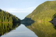 Bären sind seit Jahrtausenden fester Bestandteil des Ökosystems der wilden Bergregionen von British Columbia, der am westlichsten gelegenen Provinz Kanadas.