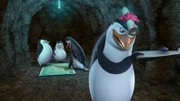 L-R: Skipper, Private, Kowalski, Rico