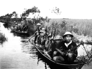 Vietcong.