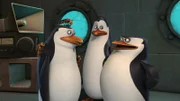 L-R: Rico, Kowalski, Skipper