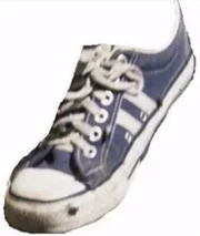Ein Schuh
