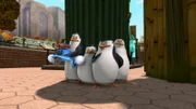 L-R: Kowalski, Private, Skipper, Rico