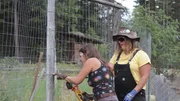 A medium shot of Misty in action as she teaches Jessica Hill how to repair a chain link fence.
