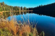 Herbststimmung am Kleinen Arbersee. Der Kleine Arbersee ist ein Juwel inmitten der waldreichen Landschaft des Lamer Winkels. Zu Zwecken der Holztrift wurde er einst angestaut. Wenn der Mensch nicht mehr eingreift, wird er irgendwann wieder verlanden - langsam, aber stetig. Weiteres Bildmaterial finden Sie unter www.br-foto.de.