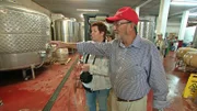 Astrid lässt sich das Island View Vineyard zeigen.
