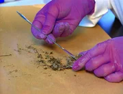 Ein Jäger aus Colorado wird erschossen aufgefunden. Welche Geschichte können Schlamm und Staub von den Schuhen des Toten erzählen?