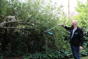 Jackson plays with Stevie in a tree.