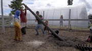 Nathan und Samantha Brown beginnen mit ihrer Familie ein Gewächshaus zu reparieren und zu bauen. (National Geographic für Disney)
