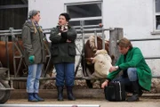 Moni macht Yvi Vorwürfe, weil sie sich nicht an das richtige Mischungsverhältnis des Futters gehalten hat. Von links: Yvonne Preissinger (Alexa Eilers), Monika Vogl (Christine Reimer) und Sebastian Wildner (Herbert Ulrich).