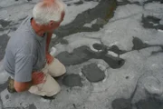 In den Steinschichten an der Küste von Lyme Regis sind viele verschiedene Fossilien zu sehen. Die Region wird deshalb auch "Jurassic Coast" genannt.