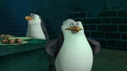 L-R: Rico, Skipper