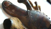 Die alten Ägypter sind in vielen Bereichen wie Medizin äußerst fortschrittlich. Eine voll funktionsfähige Zehen-Prothese bezeugt ihr tiefgehendes Verständnis menschlicher Anatomie.