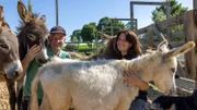 Ihre Mini-Esel sind für Sepp und Nicki Hanrieder vom Erlebnis-Bauernhof bei Freising wie Familienmitglieder.