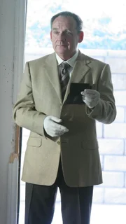 Paul Guilfoyle als Captain Jim Brass.