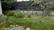 Kleiner Garten in einer ehemaligen Arbeitersiedlung in Essling. Hier hat Landschaftsplaner Stefan Schmidt Platz für einen kleinen Teich gefunden.