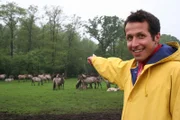 Willi möchte heute wissen, wer die Wildpferde fängt und zähmt. In der Nähe von Dülmen lebt die einzige Herde Deutschlands.