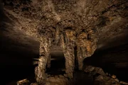 Die Mammoth Cave in Kentucky ist hunderte Kilometer lang &ndash; und ein Paradies f&uuml;r Flederm&auml;use.