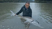 Cyril Chauquet hält den prähistorischen weißen Stör.