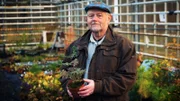 Throstur Eysteinsson leitet das größte Bewaldungs-Projekt Islands. Bäume sind einer der wichtigsten CO2-Speicher unserer Erde.