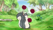Und auch das Grauhörnchen erfreut sich sehr an den Pflaumen.