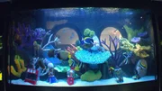 The finished interior of the tank.