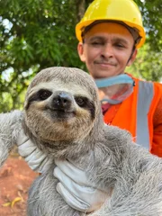 Die Feuer in den Wäldern des Amazonas gefährden unzählige Tiere. Dieses Faultier hat noch einmal Glück gehabt. Ein Helfer von der Freiwilligen Feuerwehr hat es rechtzeitig entdeckt und gerettet. Nun kann es an einem sicheren Ort wieder in die Freiheit entlassen werden.