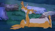 Der kleine braune Hase erzählt dem großen braunen Hasen, was er heute alles erlebt hat.