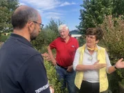 Hansi und Erna