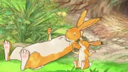 Der kleine braune Hase hat unendlich viele Fragen an den großen braunen Hasen.