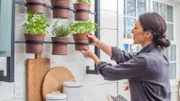 Joanna Gaines fixes the indoor herb garden designed by Reckless Iron Works in the Messerall's newly remodeled kitchen, as seen on Fixer Upper.