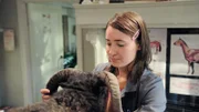 Mia (Margot Nuccetelli) beruhigt eine Ziege, die zur Behandlung in der Tierarztpraxis von Dr. Carina ist.