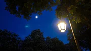 Eine alte Straßenlaterne in Fulda beleuchtet die Kastanienbäume.