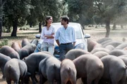 Carlos (Fernando Corral) zeigt Rike (Susan Hoecke) die Iberischen Schweinezucht für den berühmten Pata Nero.
