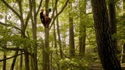 Für außergewöhnliche Perspektiven erklimmen die Tierfilmer Bäume - per Seilklettertechnik.