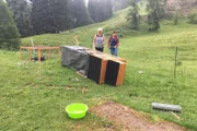 Eines Morgens gibt es ein böses Erwachen. Ein Raubtier hat sich über den Hühnerkäfig hergemacht. Die Suche nach dem Täter beginnt.