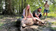 Glückliche Schweine sind Vegan-Influencerin Magdalena wichtig. Sie betreibt eine Instagramseite und nimmt ihre Follower:innen mit auf einen Lebenshof.