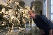 Tobi Kämmerer im Hessischen Landesmuseum mit Saurierskeletten.