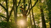 Tierfilmer Alexander Sommer kontrolliert eine Kamerafalle auf einem Baum.