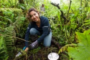 Jacqueline Rodriguez baut eine Insektenfalle. Die Biologin erforscht die Fauna in einem der letzten Urwälder auf der Galápagosinsel Sta. Cruz.