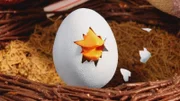 Was hat denn da gerade im Ei getickt? Im Lieder-Medley aus Rolfs neue Vogelhochzeit schlüpft das Vogelbaby aus seinem Ei.
