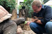 Tobi Kämmerer füttert im Darmstädter Vivarium die Riesenschildkröte Mike.