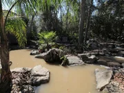 The completed pond at the Payne's house.