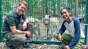 Pia und Frank Faß mit dem einjährigen Arktischen Jungwolf „Cosmo“ im Wolfcenter Dörveden