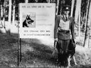 In der Zentralen Schule für Diensthundwesen wurden in der DDR-Zeit vor allem Schutz- und Fährtenhunde ausgebildet.